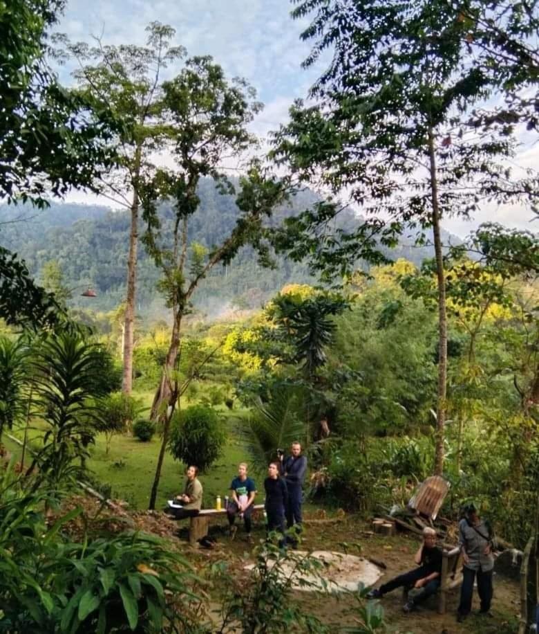 Batu Kapal Guest House Bukit Lawang Extérieur photo