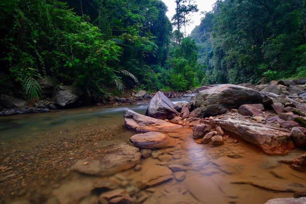 Batu Kapal Guest House Bukit Lawang Extérieur photo