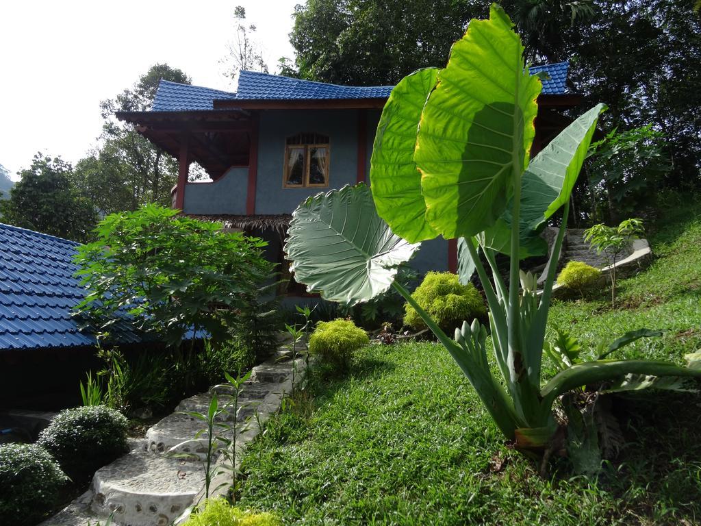 Batu Kapal Guest House Bukit Lawang Extérieur photo
