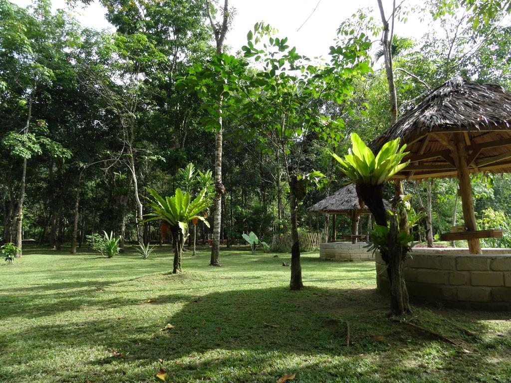 Batu Kapal Guest House Bukit Lawang Extérieur photo