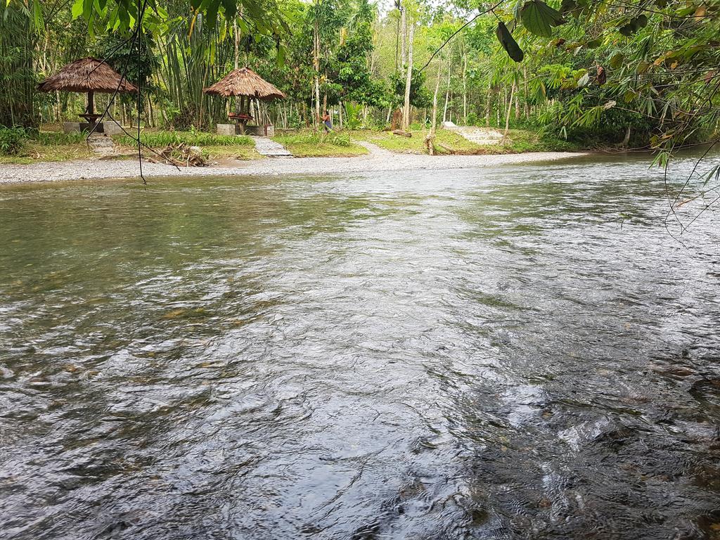 Batu Kapal Guest House Bukit Lawang Extérieur photo